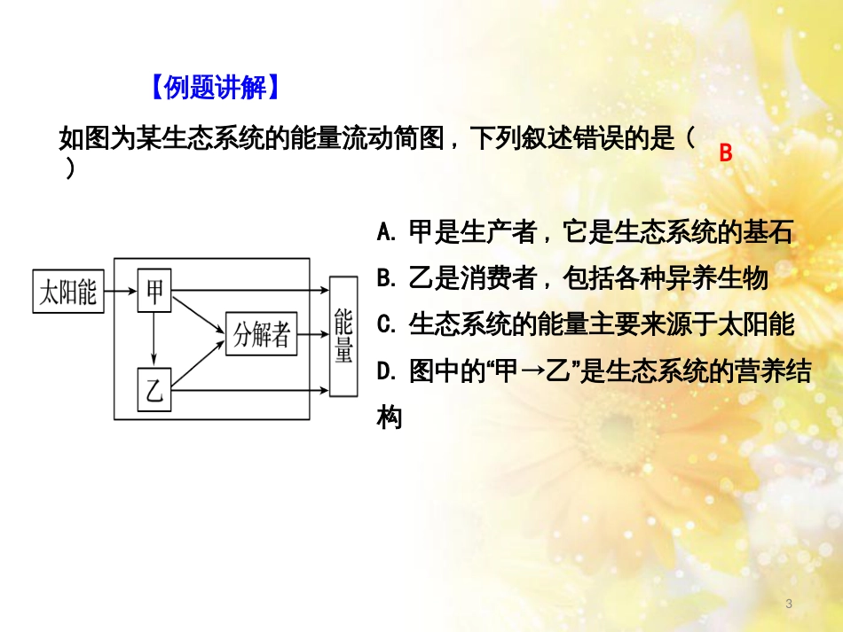 高中生物 第5章 生态系统及其稳定性复习与测试课件 新人教版必修3_第3页