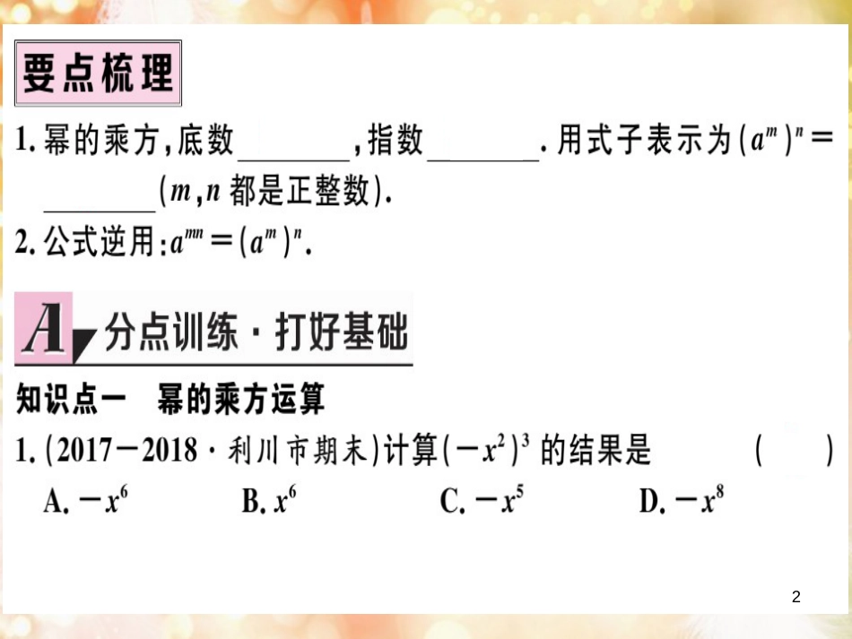 八年级数学上册 第十四章 整式的乘法与因式分解 14.1 整式的乘法 14.1.2 幂的乘方习题讲评课件 （新版）新人教版_第2页