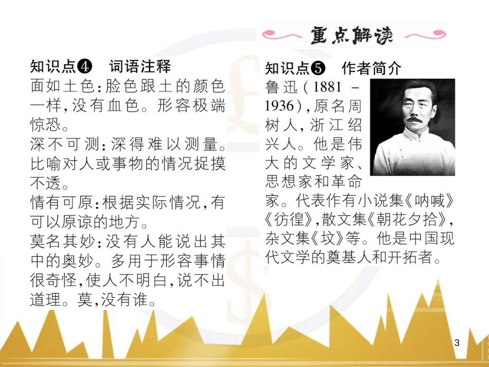 九年级英语上册 Module 11 Photos基础梳理课件 （新版）外研版 (1068)_第3页