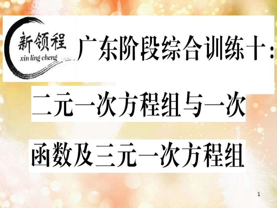 八年级数学上册 阶段综合训练十 二元一次方程组与一次函数及三元一次方程组习题讲评课件 （新版）北师大版_第1页