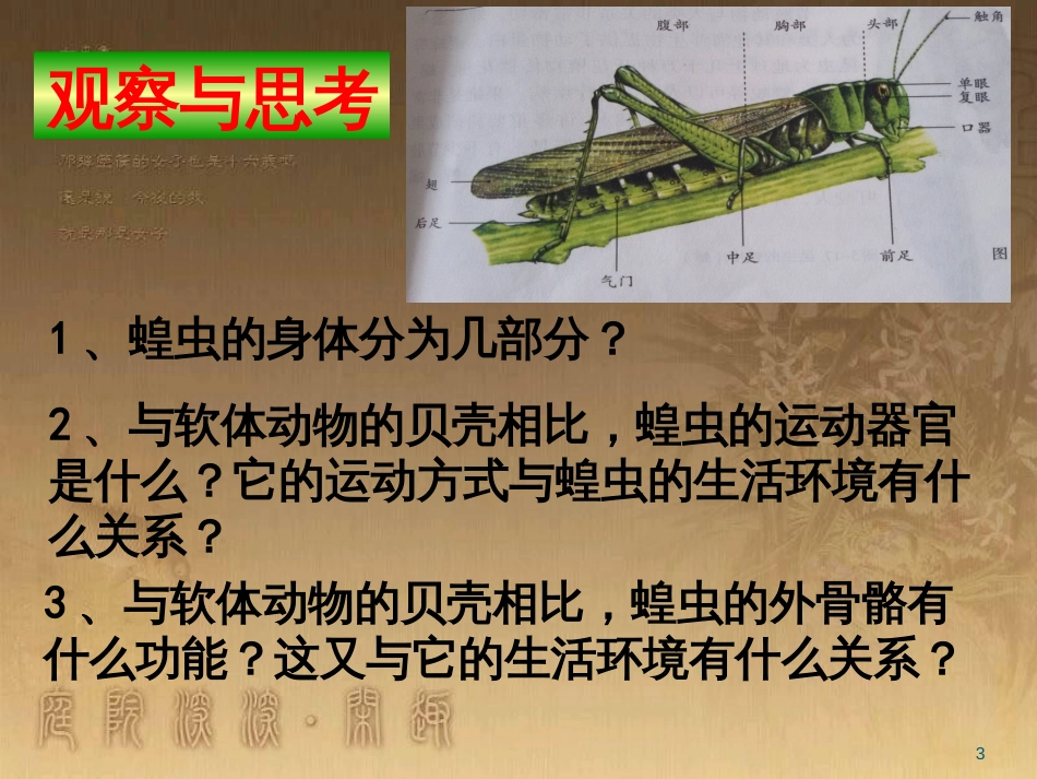 八年级生物上册 6.3 保护生物的多样性课件 （新版）新人教版 (18)_第3页