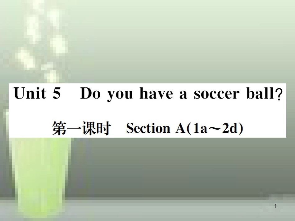 七年级英语上册 Unit 5 Do you have a soccer ball（第1课时）优质课件 （新版）人教新目标版_第1页