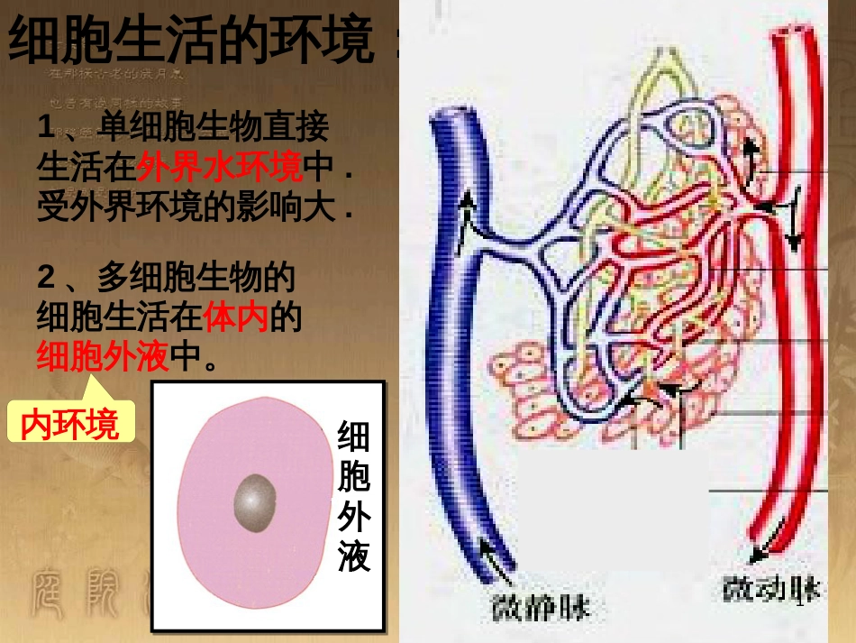 高中生物 第二章 动物生命活动的调节 2.2 神经系统的结构与功能课件 浙科版必修3 (2)_第1页