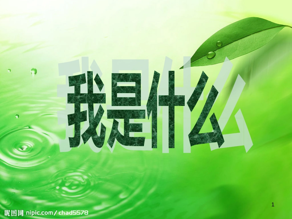 二年级语文上册 我是什么课件3 语文S版_第1页