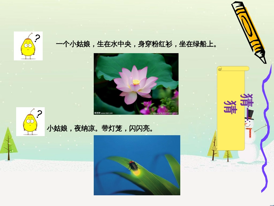 三年级科学上册 第二章 第1课 动物的食物课件1 新人教版 (83)_第2页
