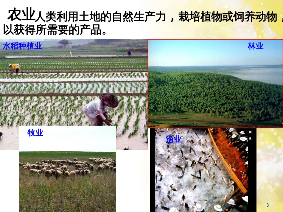 高中地理 第三章 生产活动与地域联系 3.1 农业区位因素与地域类型课件 中图版必修2_第3页