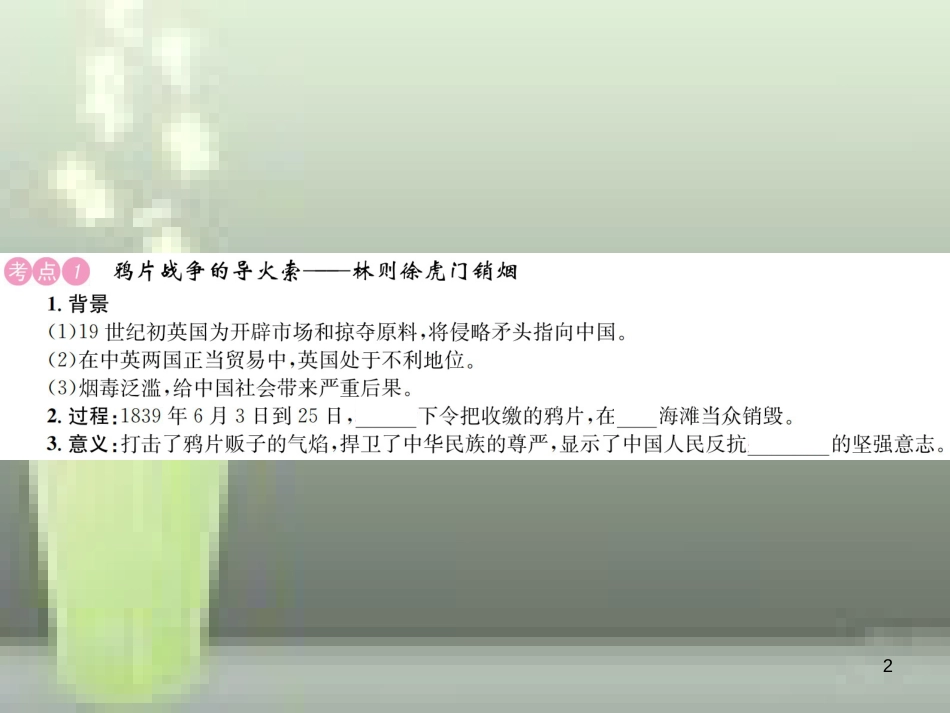 中考历史 基础复习 八年级部分 中国近代史 第六讲 列强侵略和中华民族的抗争与探索优质课件_第2页