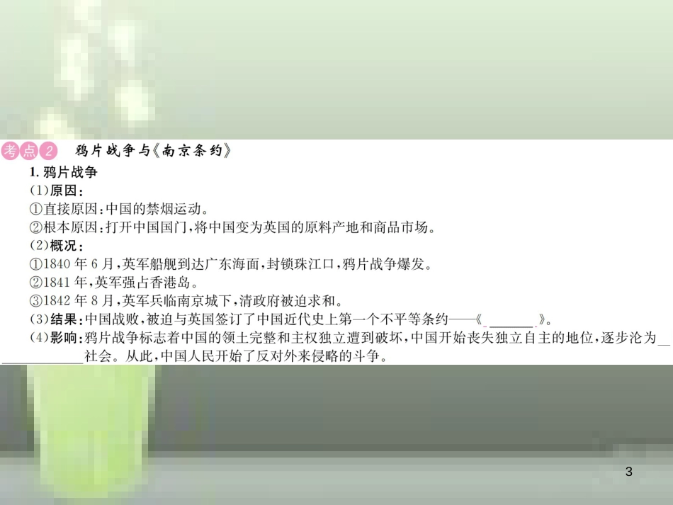 中考历史 基础复习 八年级部分 中国近代史 第六讲 列强侵略和中华民族的抗争与探索优质课件_第3页