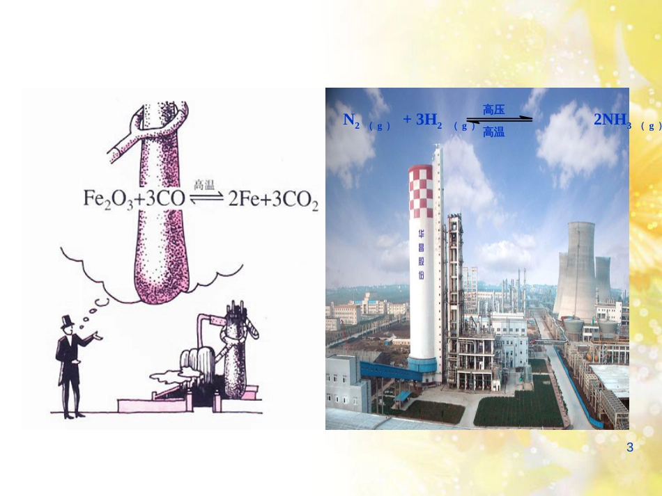 高中化学 第二章 化学反应速率和化学平衡 2.3 影响化学平衡的因素课件 新人教版选修4_第3页