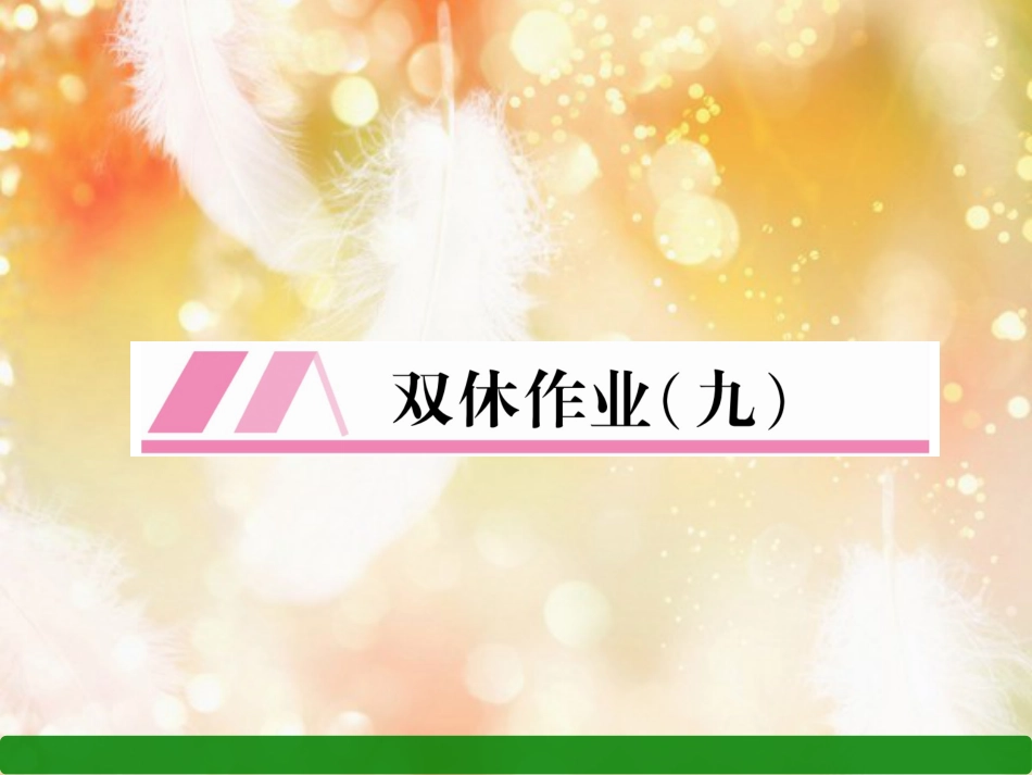 （遵义专版）八年级语文上册 双休作业9作业课件 新人教版_第1页
