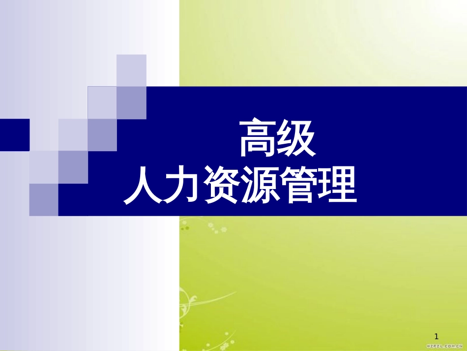 高级人力资源管理(ppt 125页)_第1页