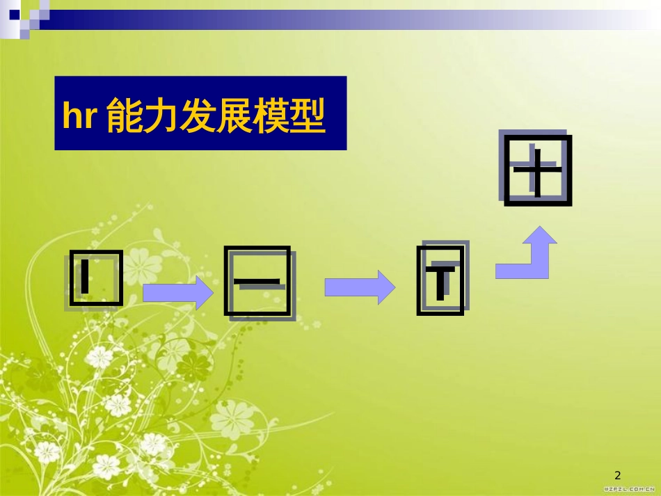 高级人力资源管理(ppt 125页)_第2页