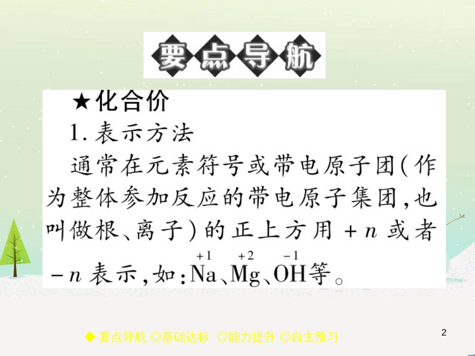 九年级化学上册 3.3 元素习题课件 （新版）新人教版 (614)_第2页