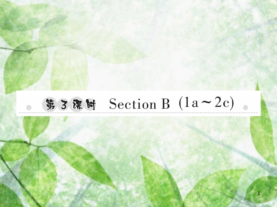 七年级英语上册 Unit 5 Do you have a soccer ball（第3课时）Section B（1a-2c）习题优质课件 （新版）人教新目标版_第1页