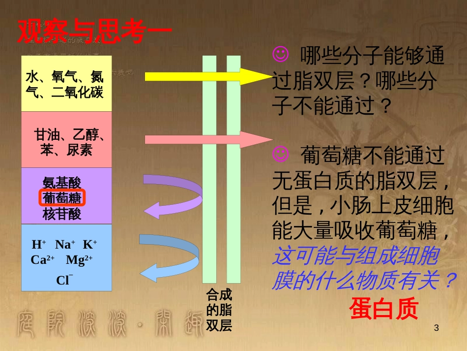 高中生物 第一章 遗传因子的发现 1.2 孟德尔的豌豆杂交实验（二）课件 新人教版必修2 (2)_第3页