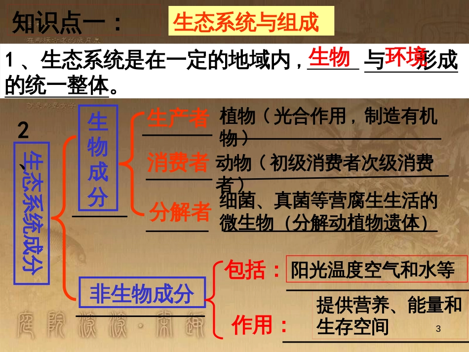 中考生物 八下 专题八 生态系统复习课件_第3页