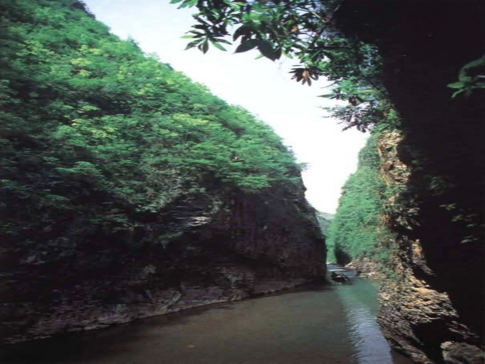 八年级语文上册 名著常识课件 语文版 (180)_第3页