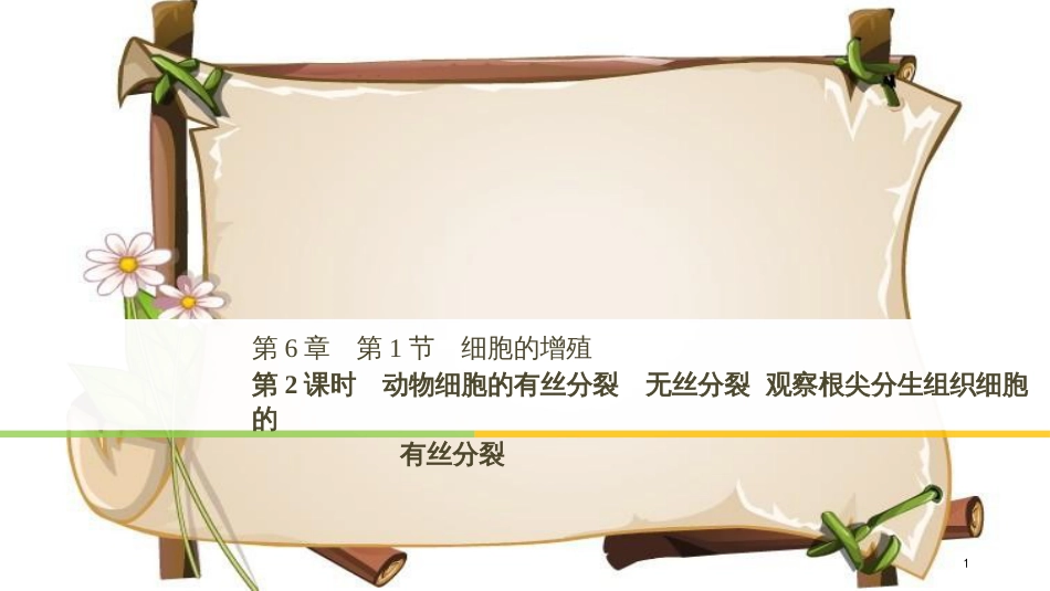 （全国通用版）高中生物 第六章 细胞的生命历程 第1节 第2课时 动物细胞的有丝分裂 无丝分裂 观察根尖分生组织细胞的有丝分裂课件 新人教版必修1_第1页