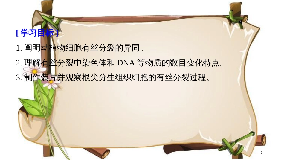 （全国通用版）高中生物 第六章 细胞的生命历程 第1节 第2课时 动物细胞的有丝分裂 无丝分裂 观察根尖分生组织细胞的有丝分裂课件 新人教版必修1_第2页