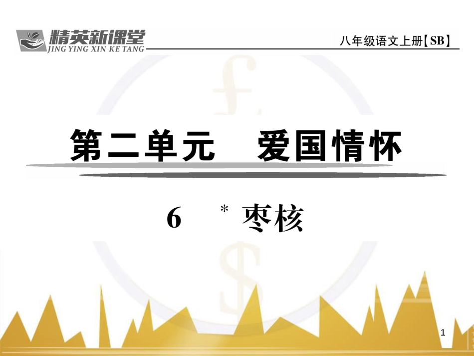 九年级英语上册 Module 11 Photos基础梳理课件 （新版）外研版 (1071)_第1页