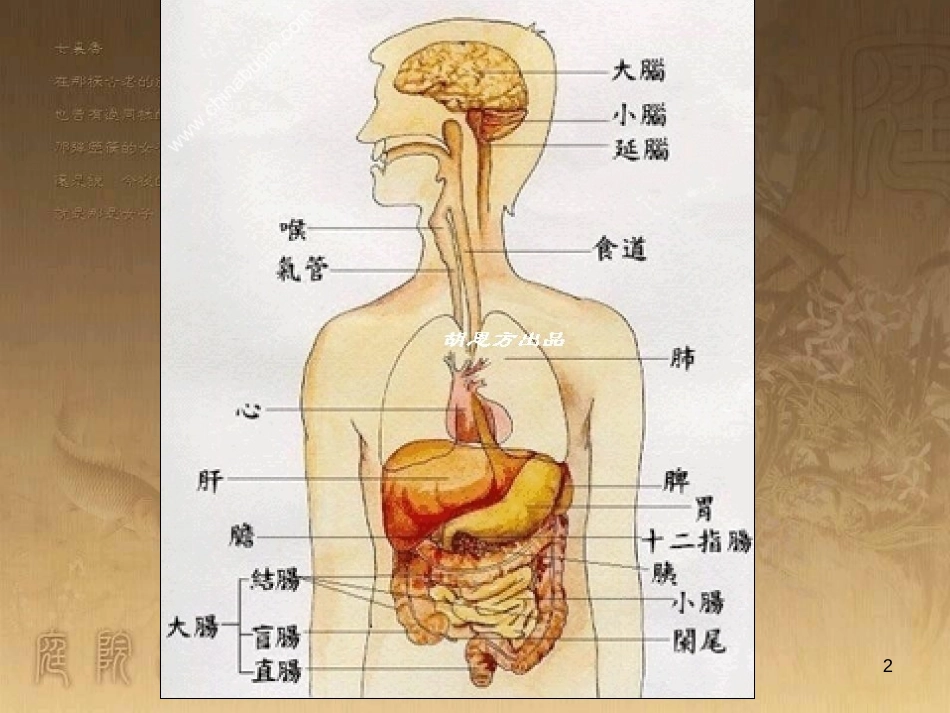 四年级语文上册 语文乐园（三）课件1 鄂教版_第2页