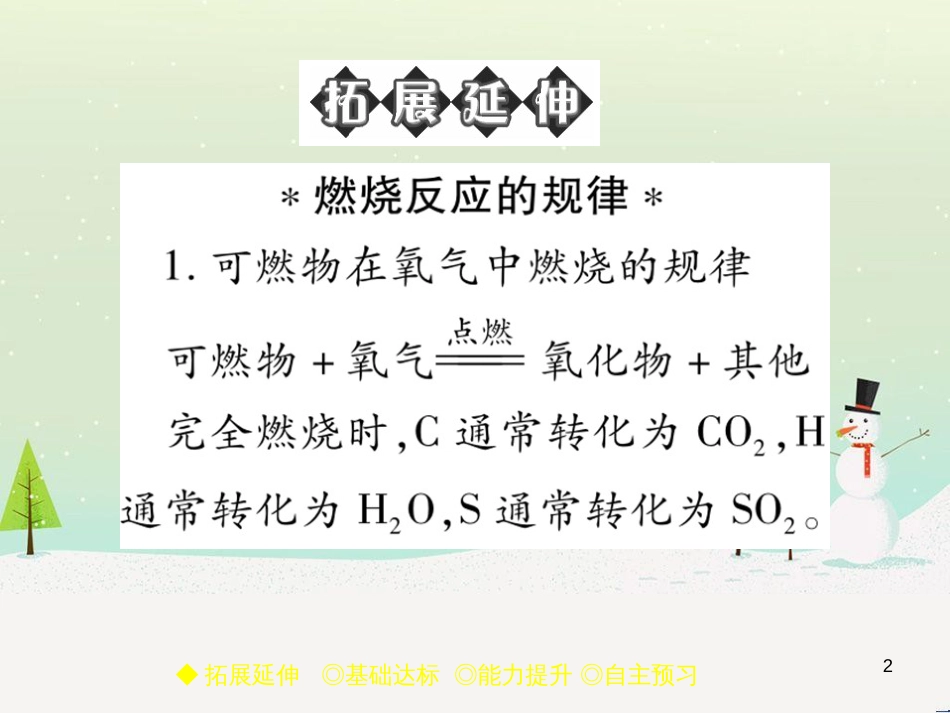 九年级化学上册 3.3 元素习题课件 （新版）新人教版 (582)_第2页