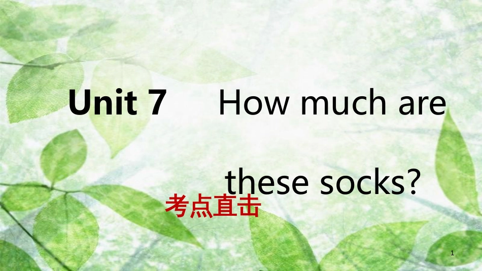 七年级英语上册 Unit 7 How much are these socks Section B考点直击优质课件 （新版）人教新目标版_第1页