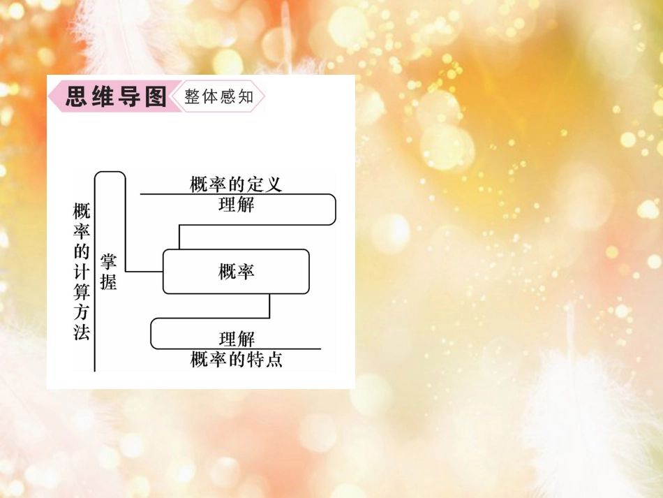 （遵义专版）九年级数学上册 第25章 概率初步 25.1 随机事件与概率 25.1.2 概率习题课件 （新版）新人教版_第2页