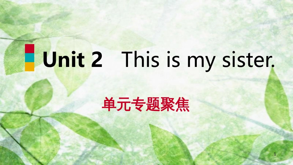 七年级英语上册 Unit 2 This is my sister单元专题聚焦优质课件 （新版）人教新目标版_第1页