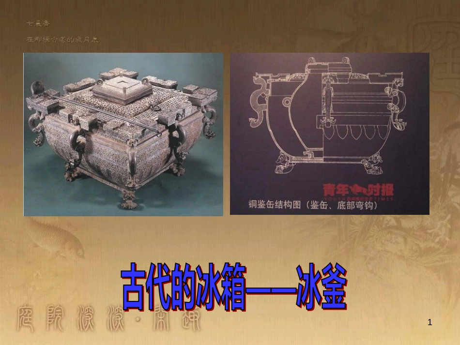 八年级生物下册 25.1 传染病课件 （新版）苏教版 (9)_第1页