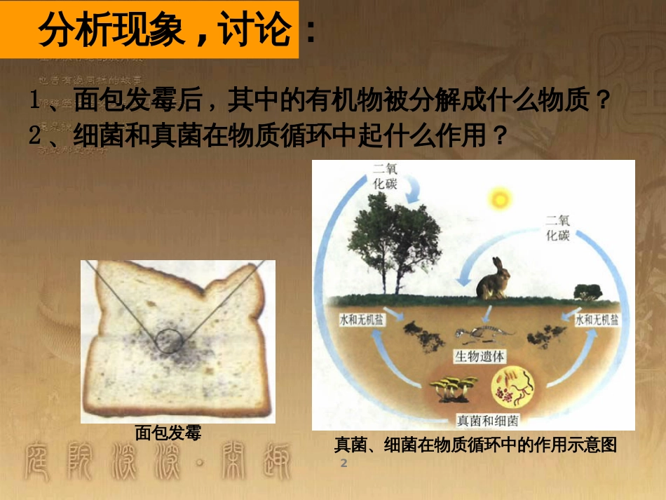 八年级生物上册 6.3 保护生物的多样性课件 （新版）新人教版 (25)_第2页