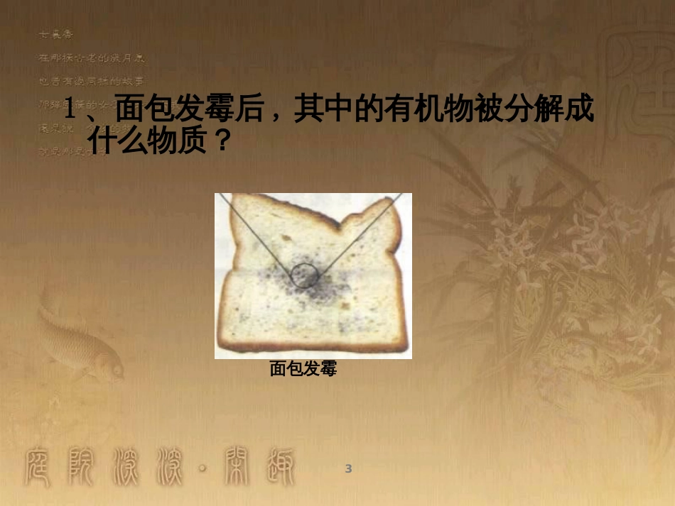 八年级生物上册 6.3 保护生物的多样性课件 （新版）新人教版 (25)_第3页