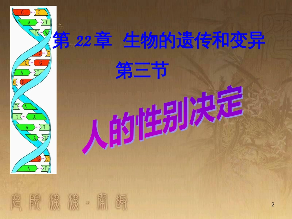 八年级生物下册 25.1 传染病课件 （新版）苏教版 (4)_第2页