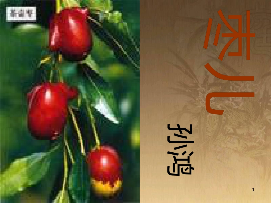 七年级生物上册 第二单元 第一章 第一二节综合课件 （新版）新人教版 (203)_第1页