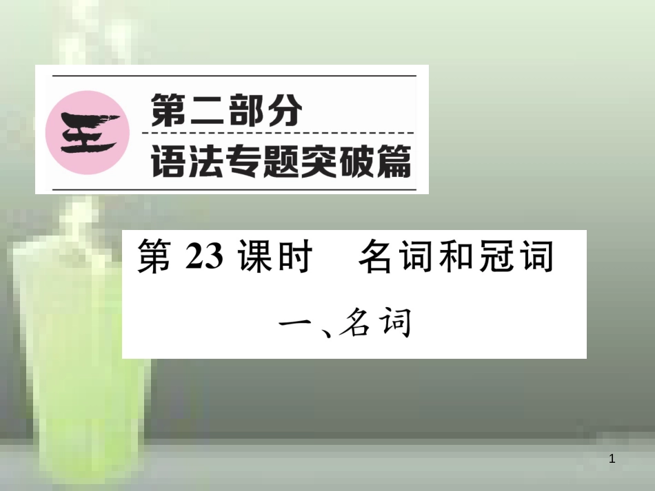 中考英语特训总复习 第二部分 语法专题突破篇 第23课时 名词和冠词 一 名词（精讲）优质课件_第1页