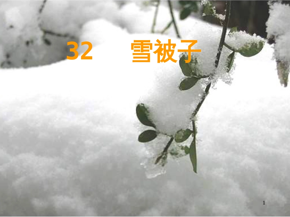 二年级语文上册 雪被子课件2 浙教版_第1页