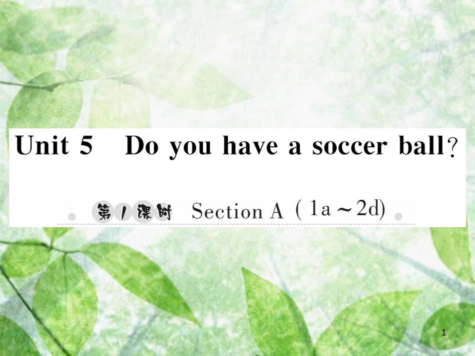 七年级英语上册 Unit 5 Do you have a soccer ball（第1课时）Section A（1a-2d）习题优质课件 （新版）人教新目标版_第1页