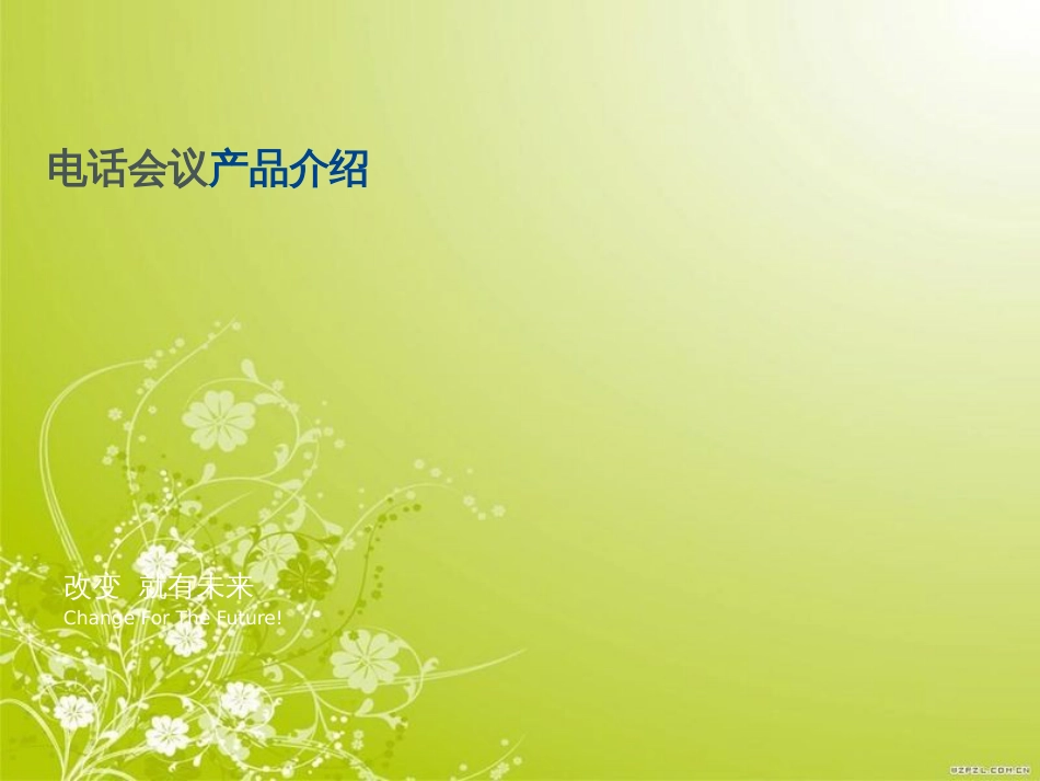 电话会议产品介绍(ppt 29页)_第1页