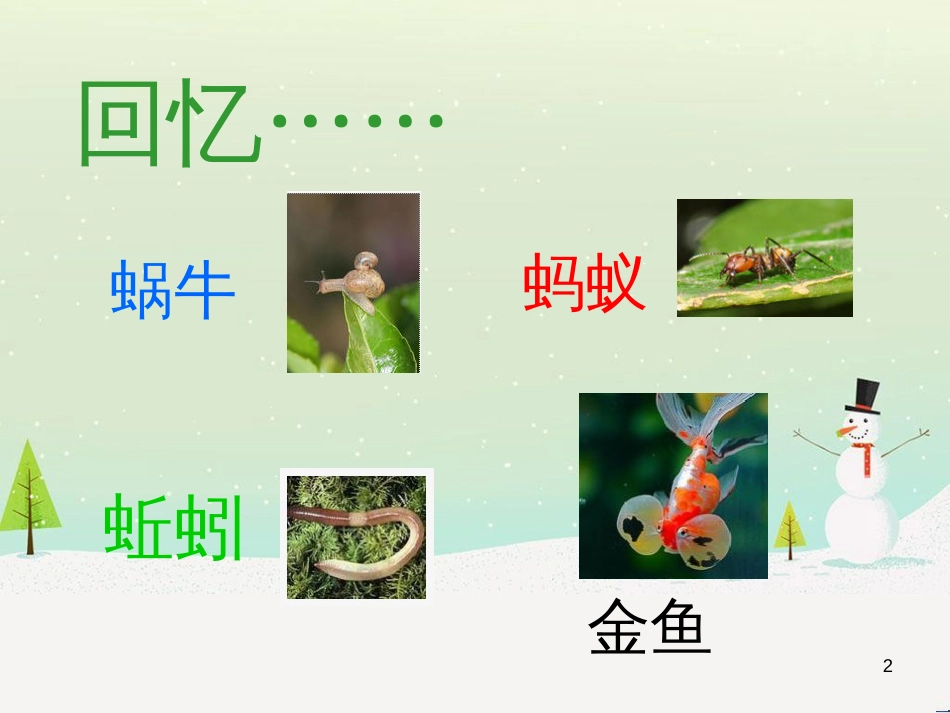 三年级科学上册 第二章 第1课 动物的食物课件1 新人教版 (92)_第2页