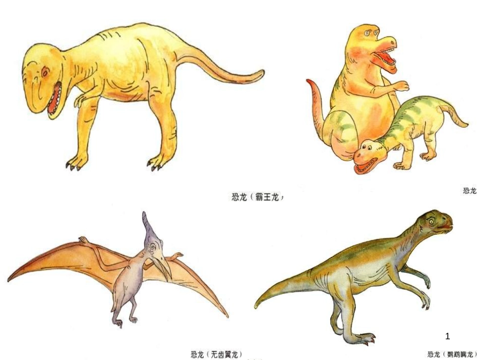 八年级生物下册 7.3.2 生物进化的历程课件 新人教版 (1)_第1页