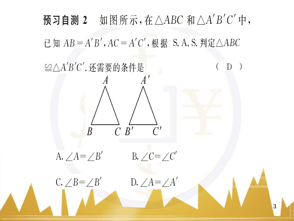 九年级英语上册 Module 11 Photos基础梳理课件 （新版）外研版 (504)_第3页