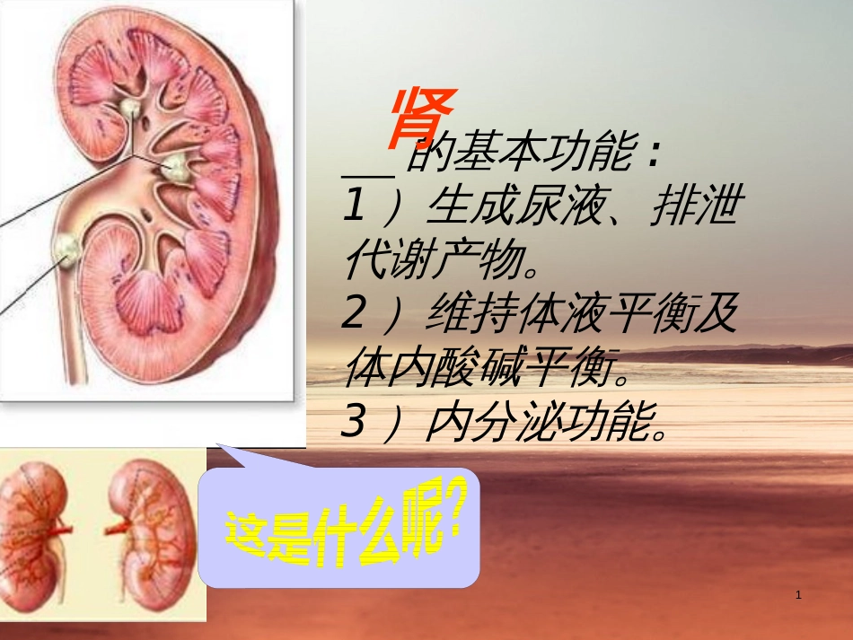 高中地理 第二章 区域可持续发展 第二节 湿地资源的开发与保护—以洞庭湖区为例课件8 湘教版必修3_第1页