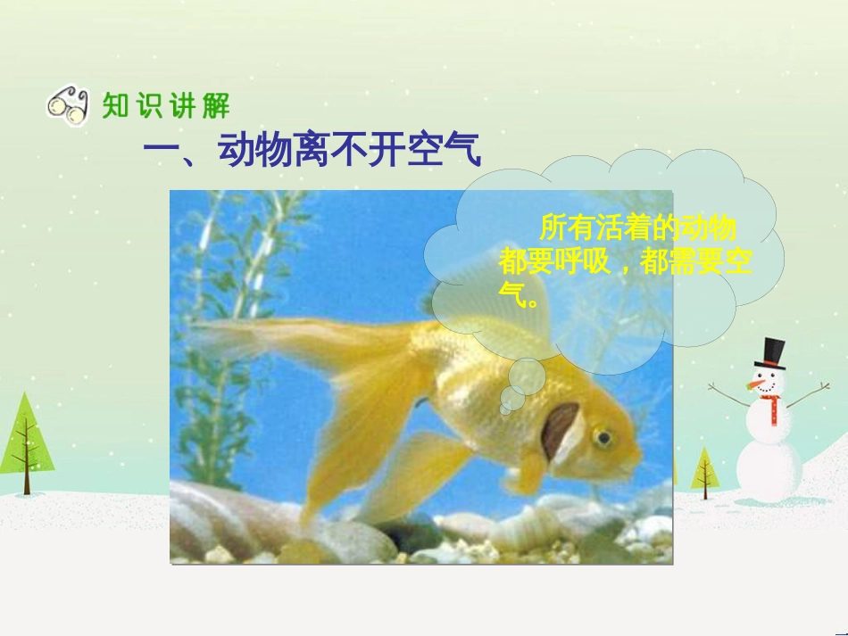 三年级科学上册 第二章 第1课 动物的食物课件1 新人教版 (65)_第3页
