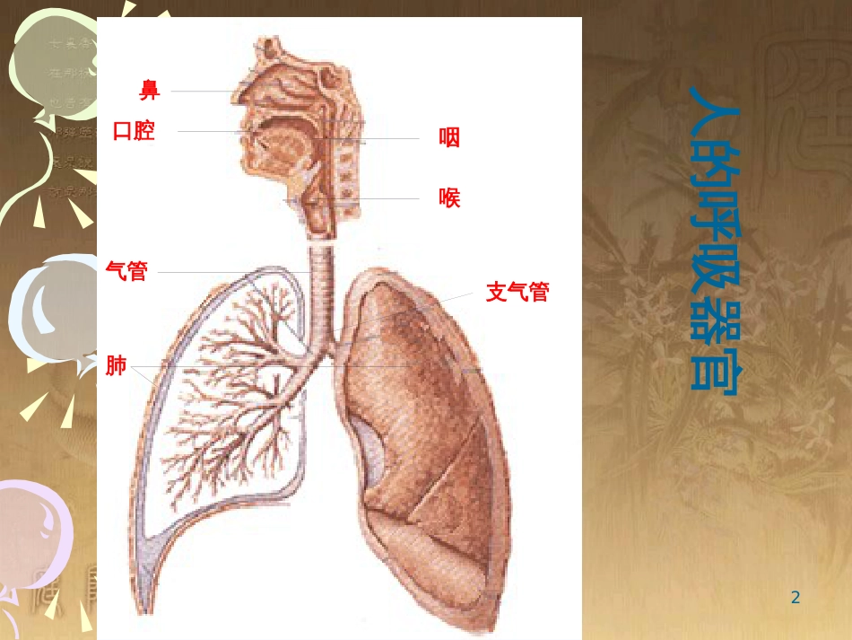 五年级科学上册 第7课 我们的呼吸课件1 青岛版_第2页