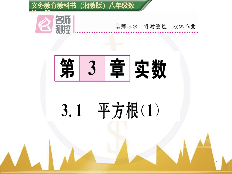 九年级英语上册 Module 11 Photos基础梳理课件 （新版）外研版 (228)_第1页