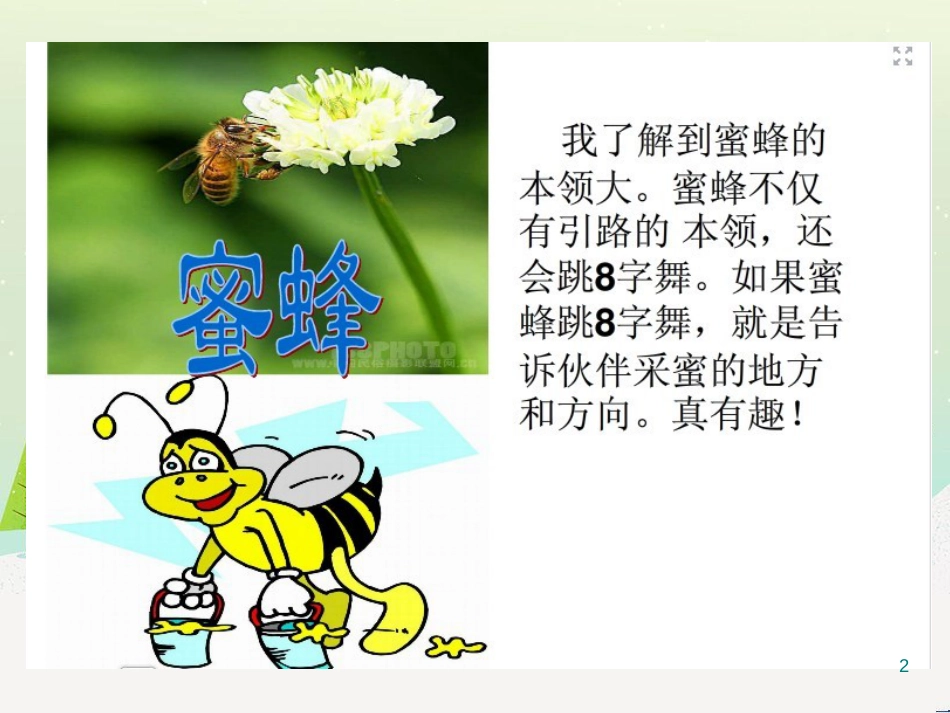 三年级科学上册 第二章 第1课 动物的食物课件1 新人教版 (90)_第2页