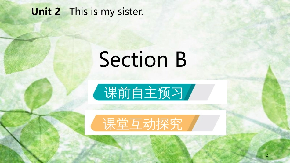 七年级英语上册 Unit 2 This is my sister Section B优质课件 （新版）人教新目标版_第2页