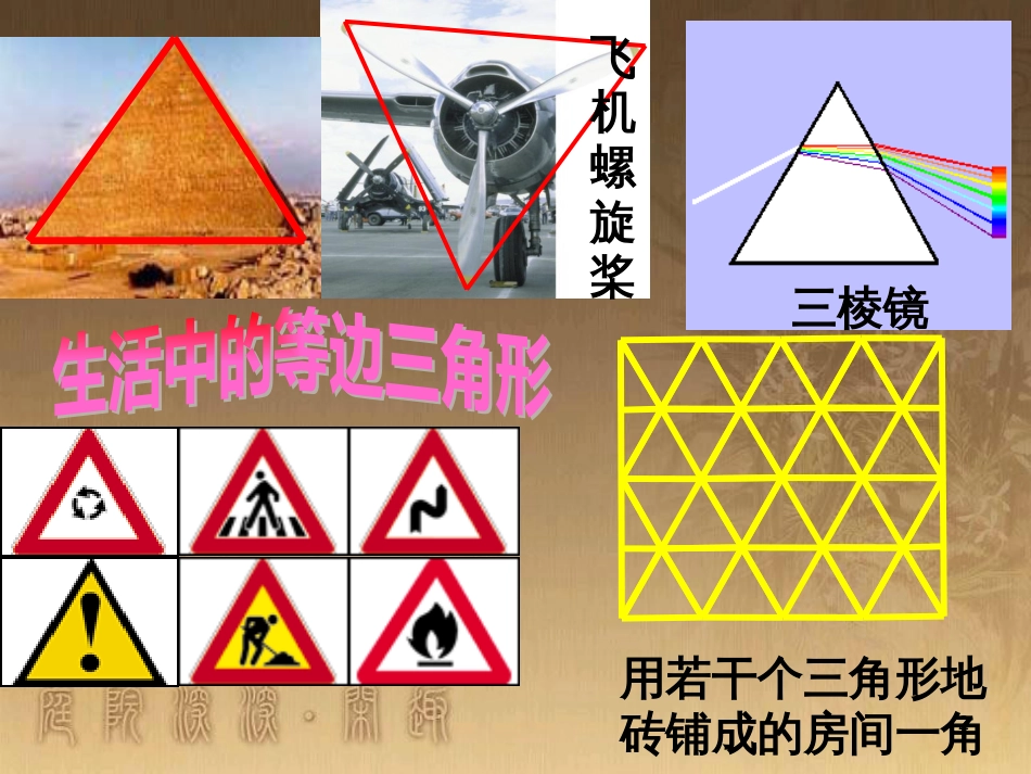 七年级生物上册 第二单元 第一章 第一二节综合课件 （新版）新人教版 (57)_第2页