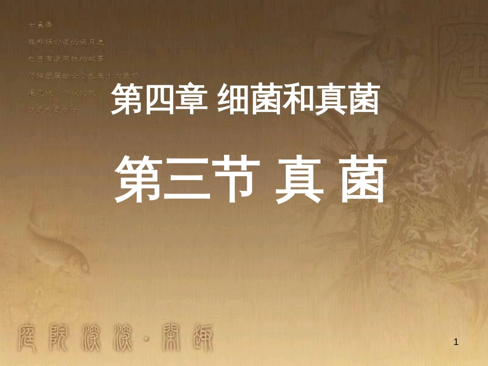 八年级生物上册 6.3 保护生物的多样性课件 （新版）新人教版 (24)_第1页