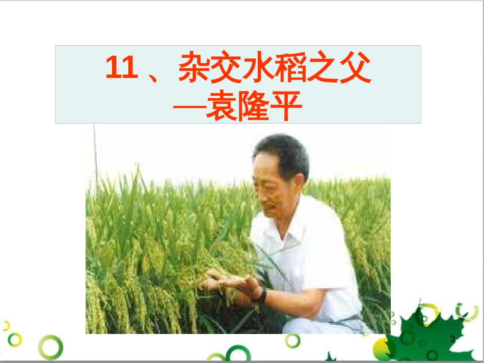 八年级语文上册 名著常识课件 语文版 (108)_第1页
